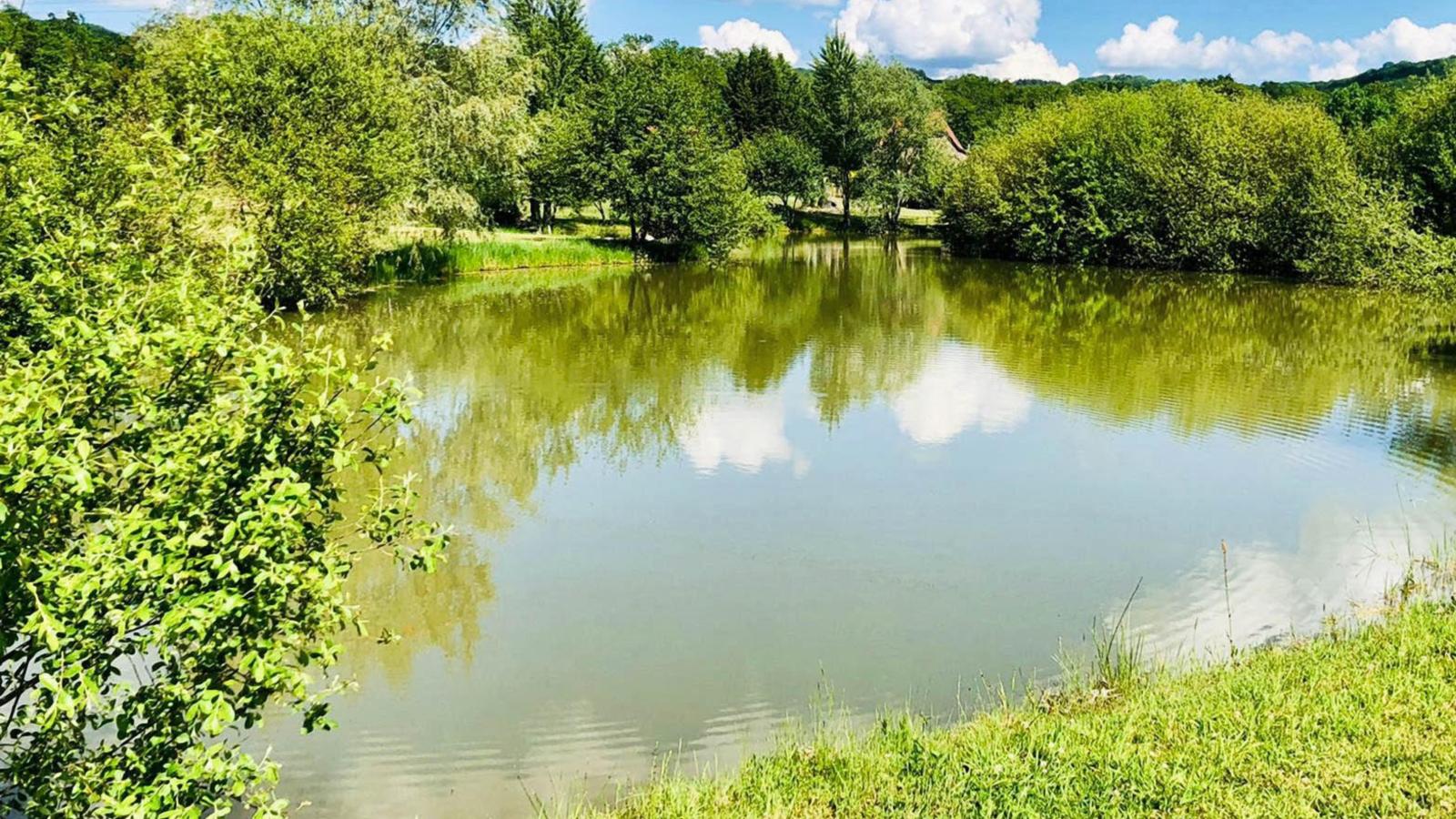 Le Lac Bleu nr 33 - Gebieden zomer 1km