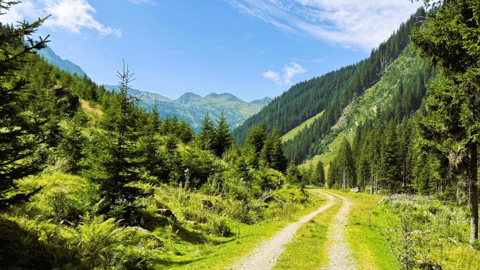 Alpenjoy Lodge-Gebieden zomer 5km