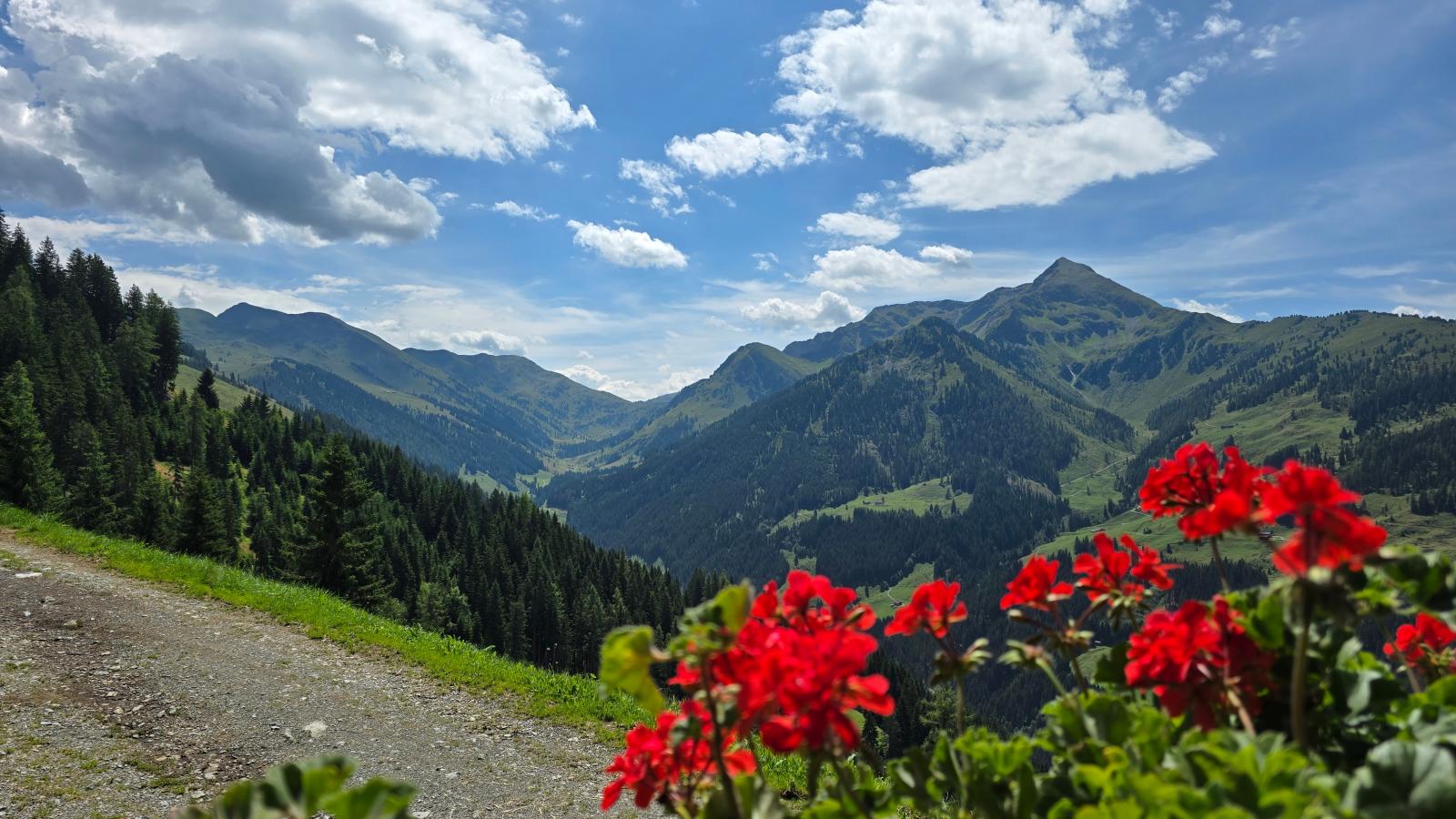 EAGGA-Niederleger Alm-Uitzicht zomer