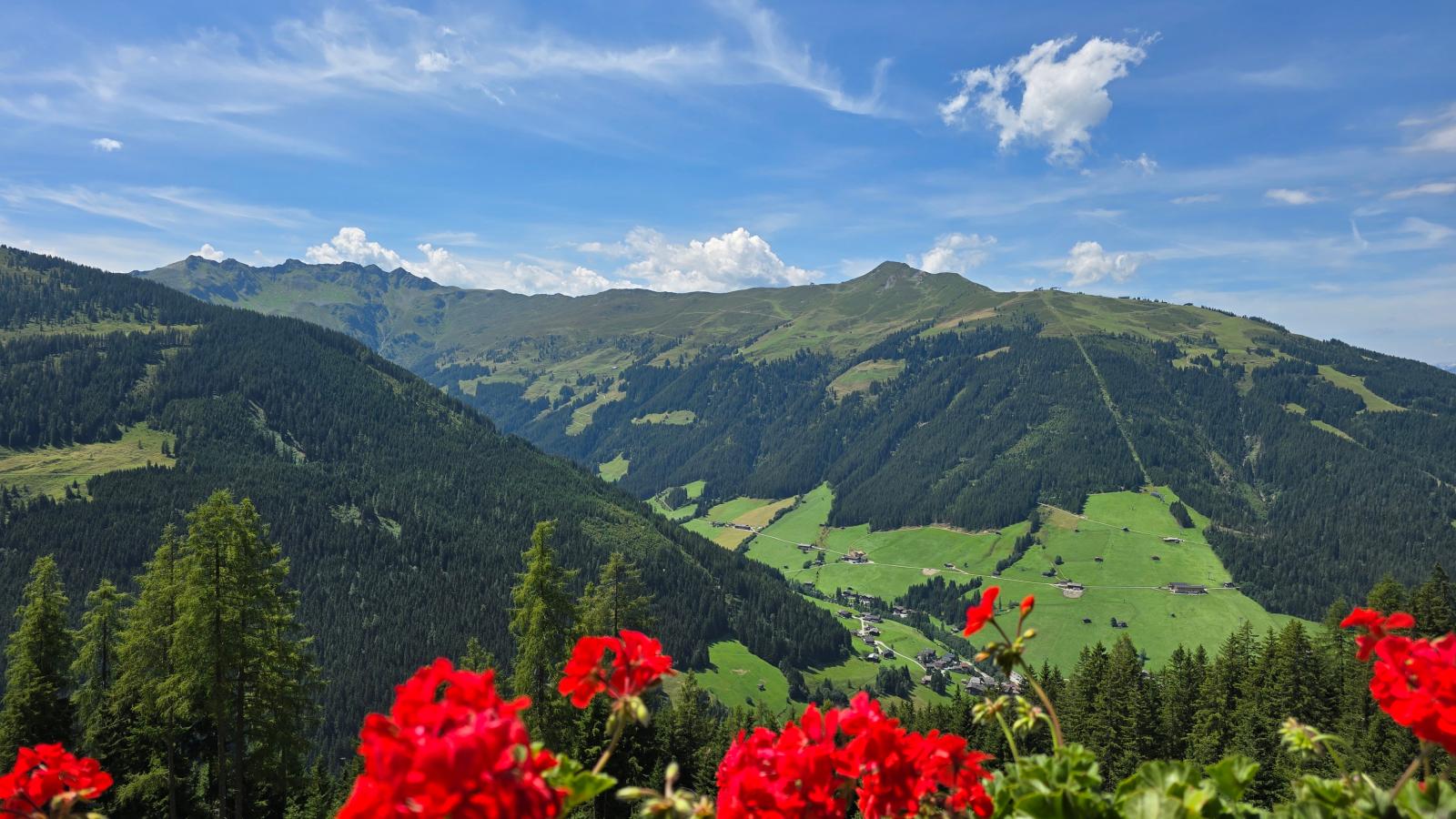 EAGGA-Niederleger Alm-Uitzicht zomer