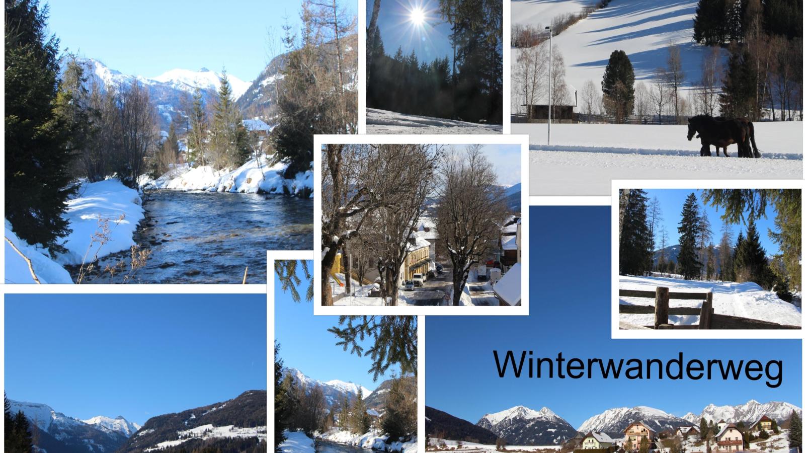 Ski Nature Apartment Lungau Top 6-Gebiet Winter 5 km