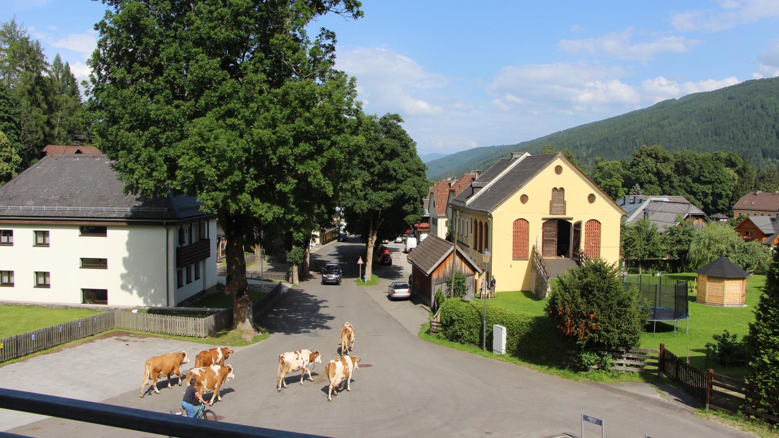 Ski Nature Apartment Lungau Top 6-Aussicht