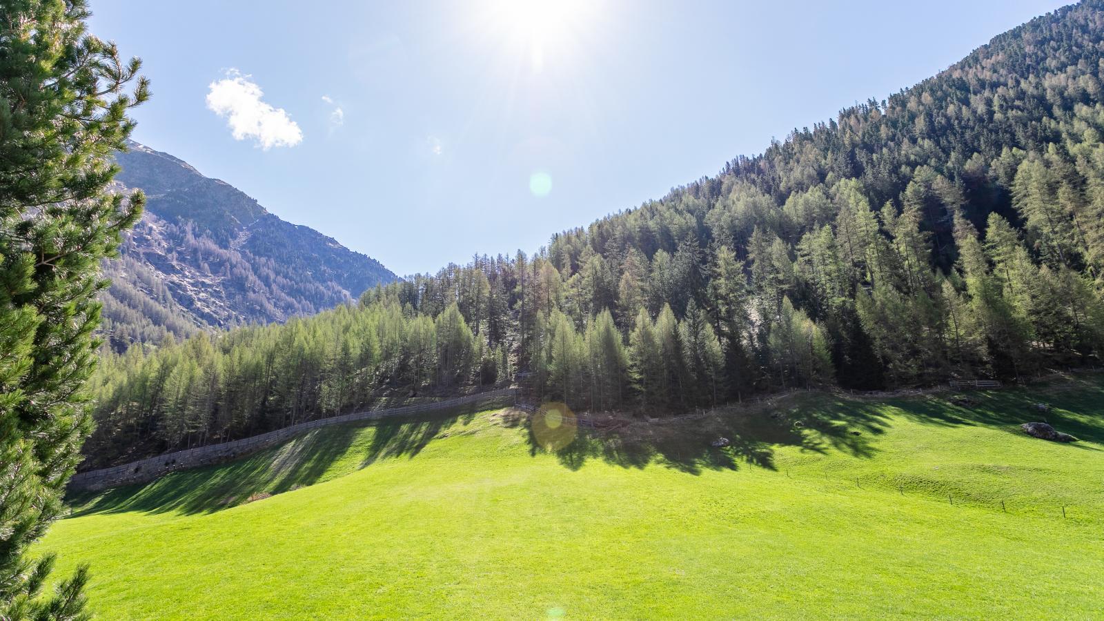 Haus Daniela-Gebieden zomer 1km