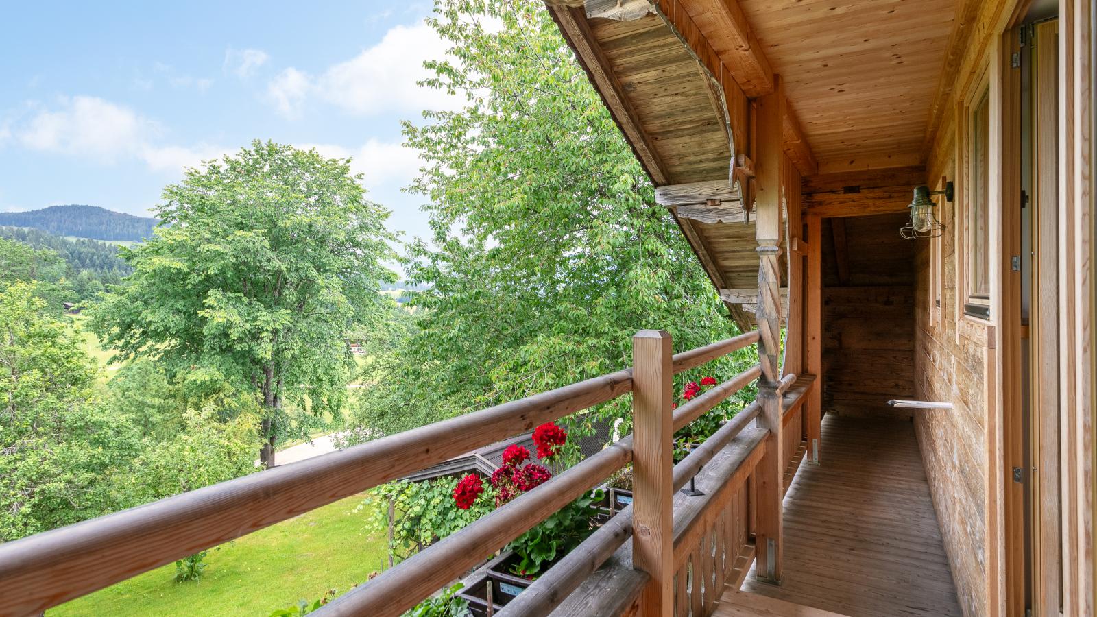 Schlafhamhof - Terrasse / balcon