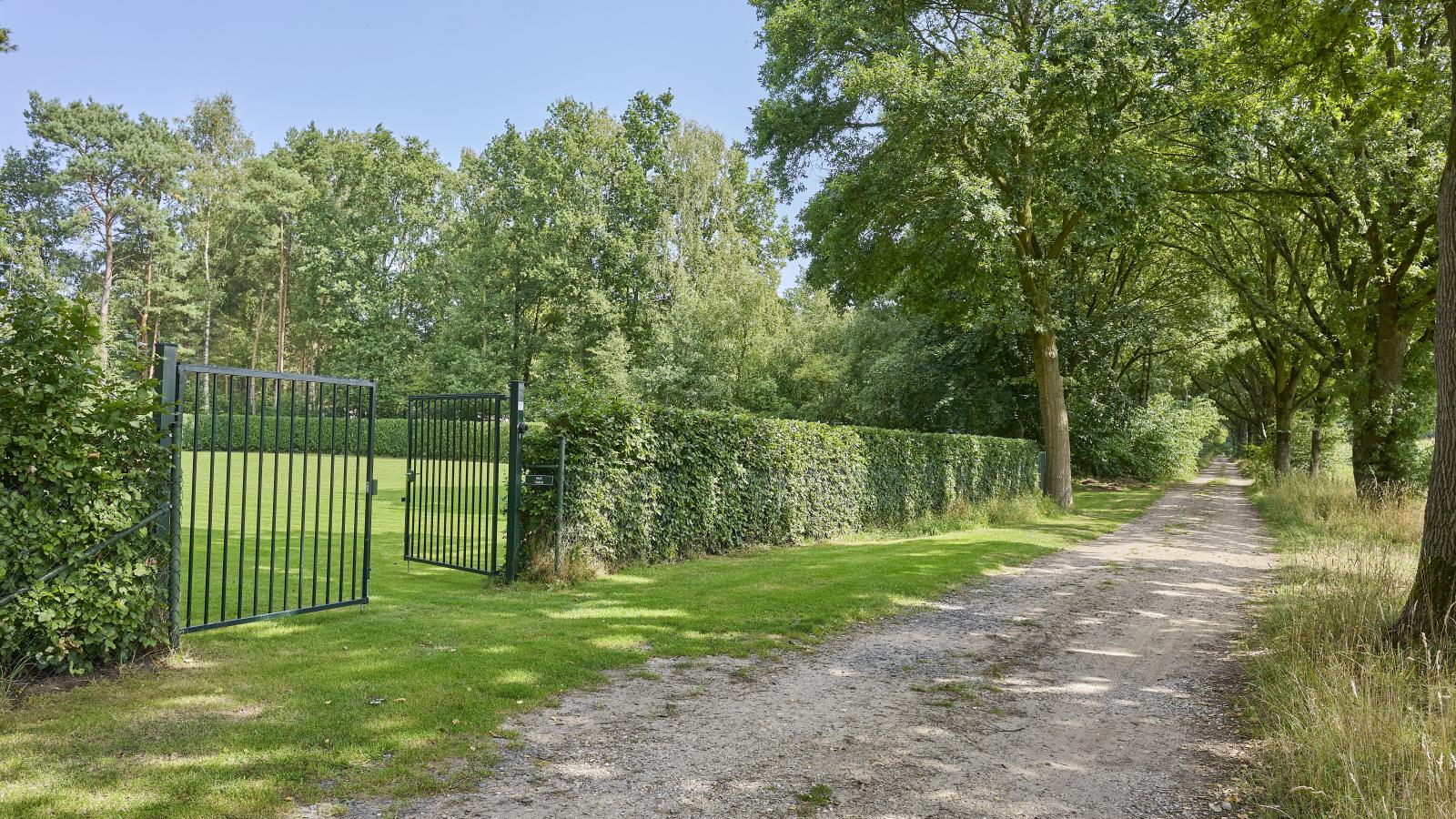 Quercus-Gebieden zomer 1km