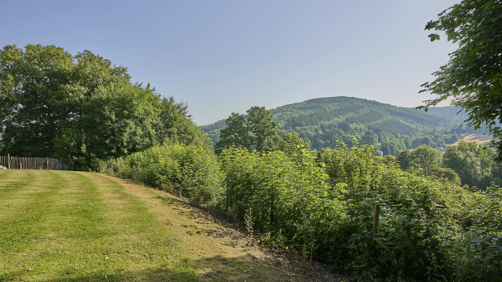 Devant les Thiers-Uitzicht zomer