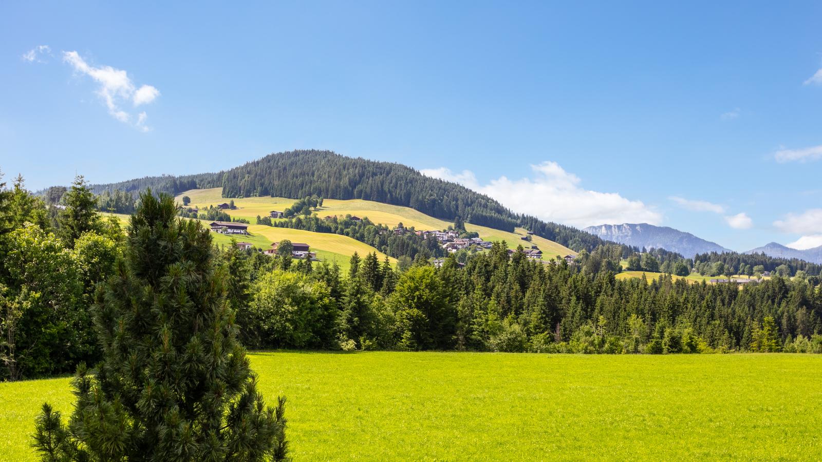 Haus Alpenblick-Uitzicht zomer