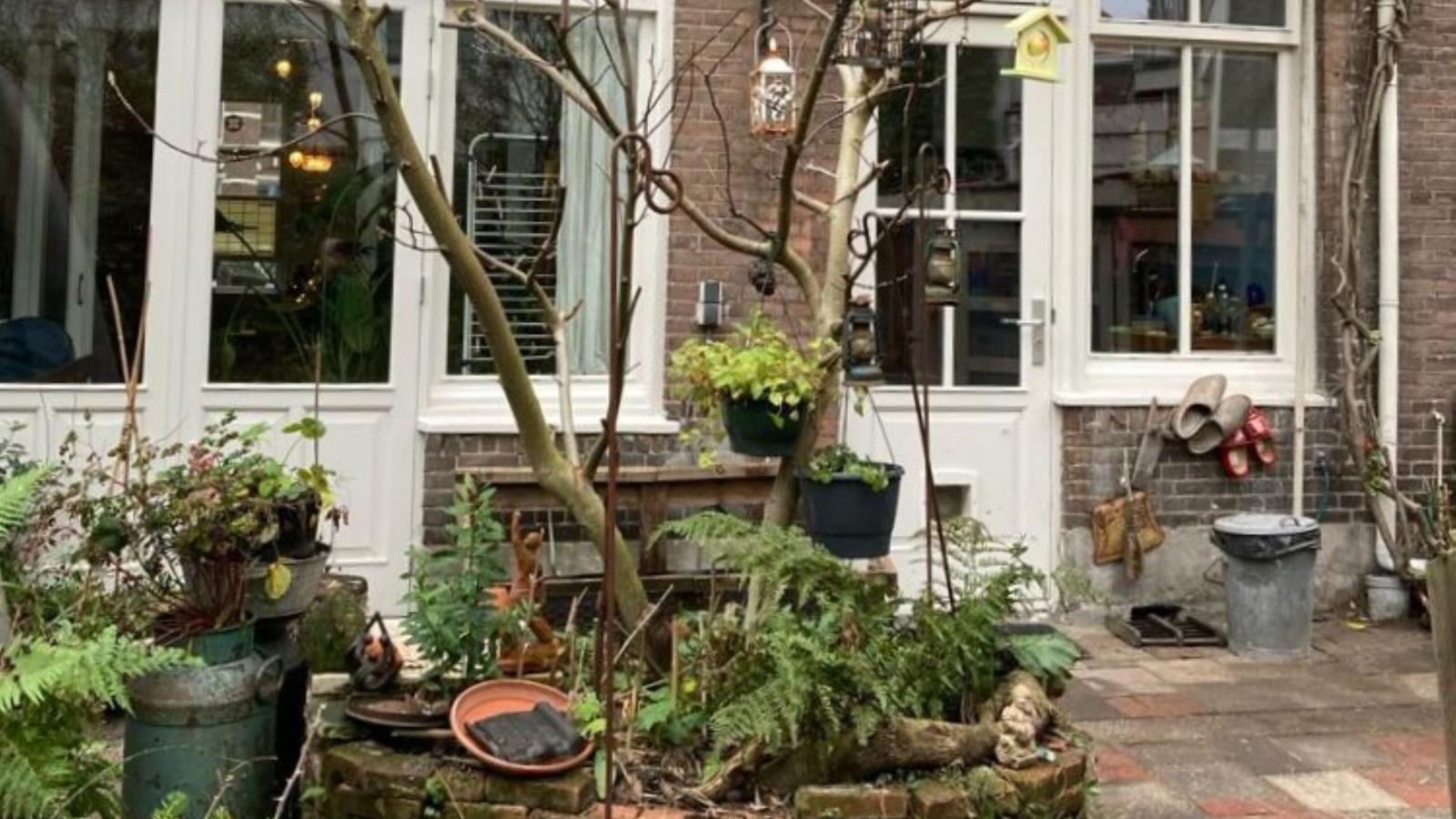 De Kleine Regentes - Tuin winter