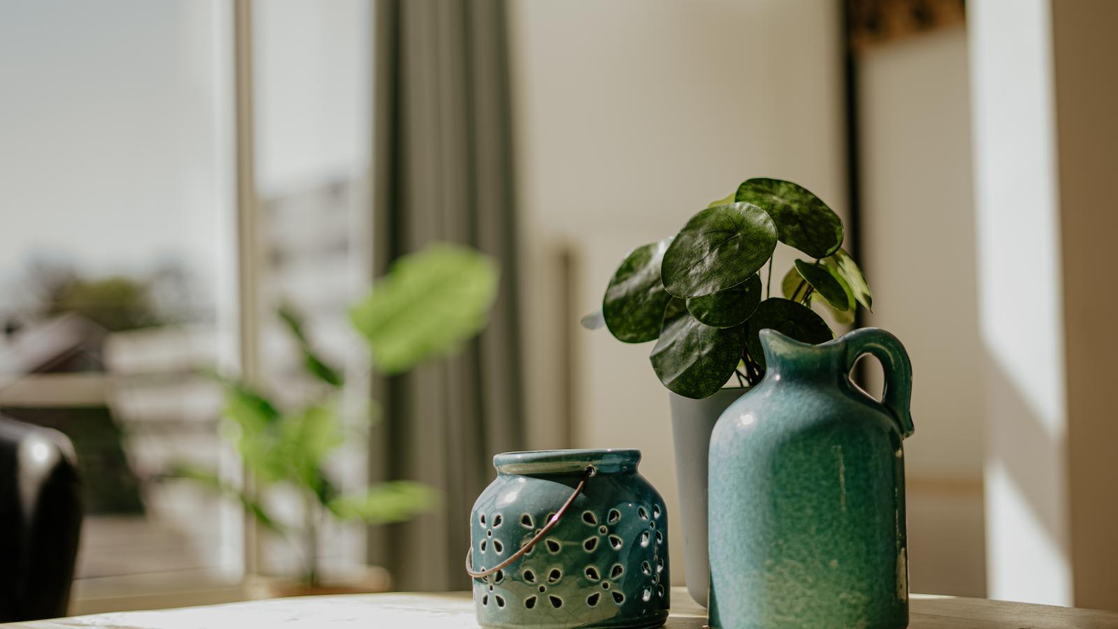 Oostergeest-Ambiente