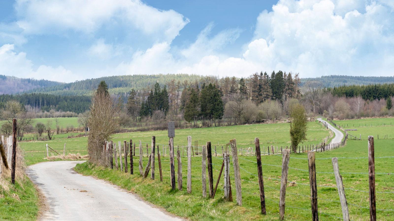 Villa Belvedère-Gebiete Sommer 1 km