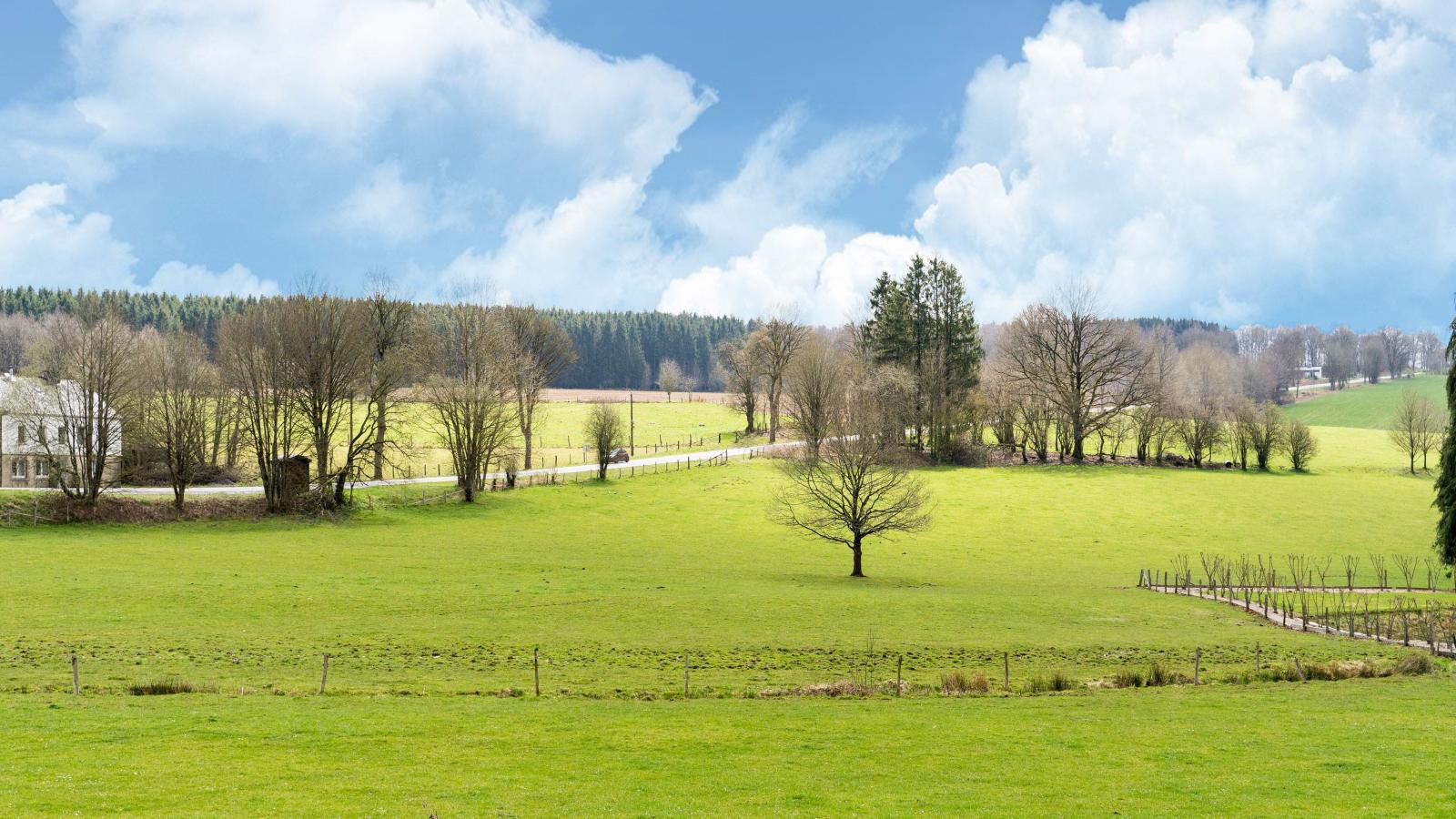 Villa Belvedère-Gebiete Sommer 1 km