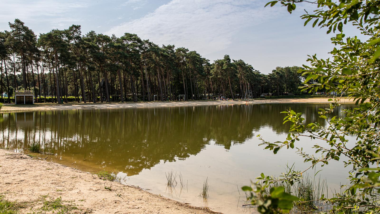Veldzicht-Areas summer 1km
