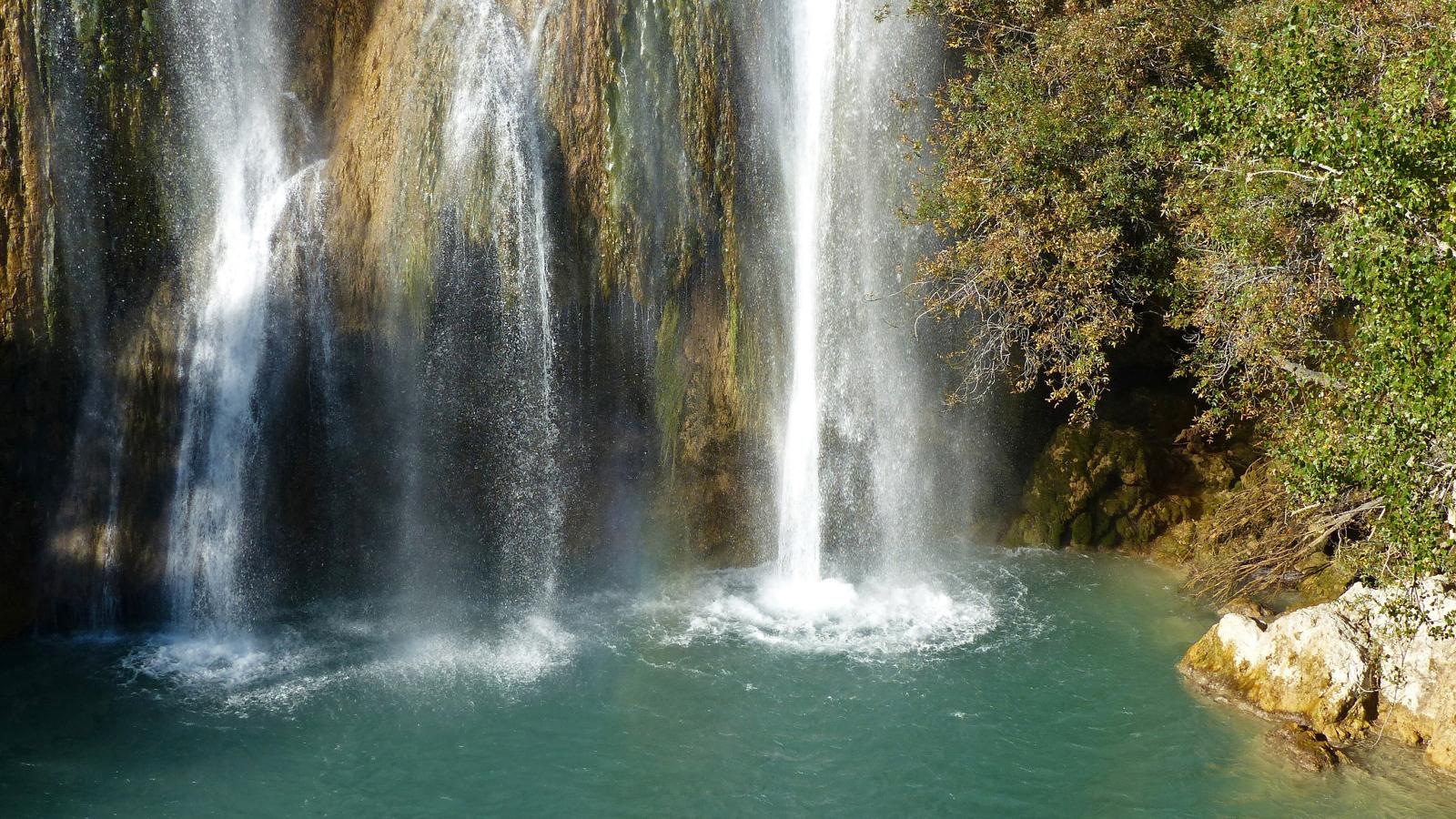 Lomandra-Gebieden zomer 5km