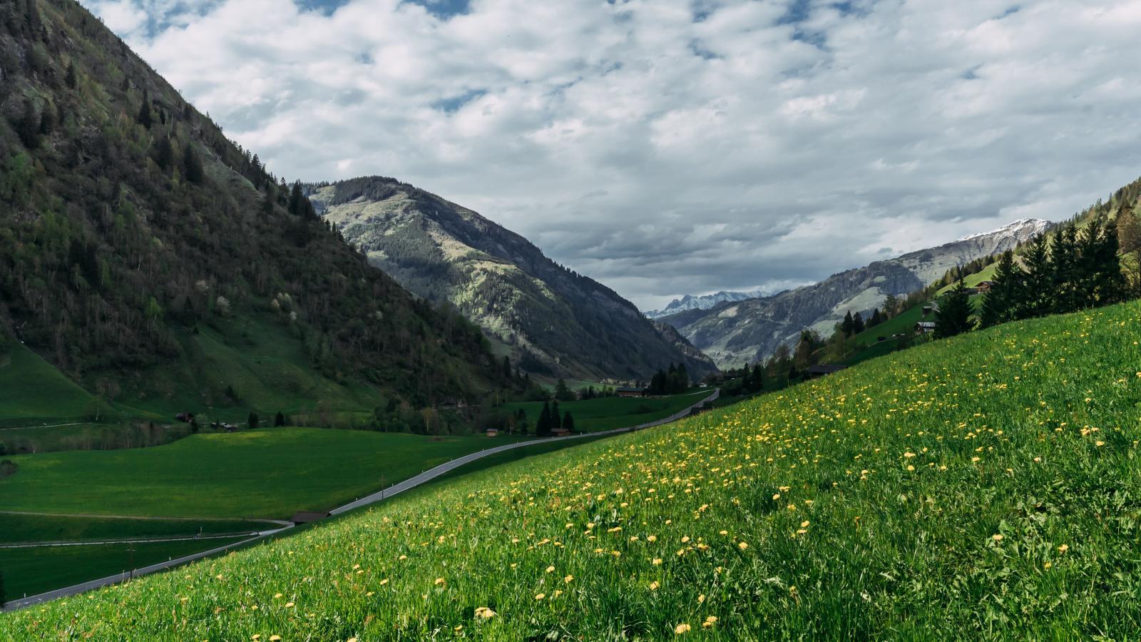 Barney M-Gebieden zomer 1km