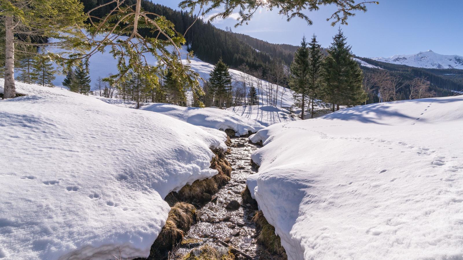 Barney M-Gebied winter 1km