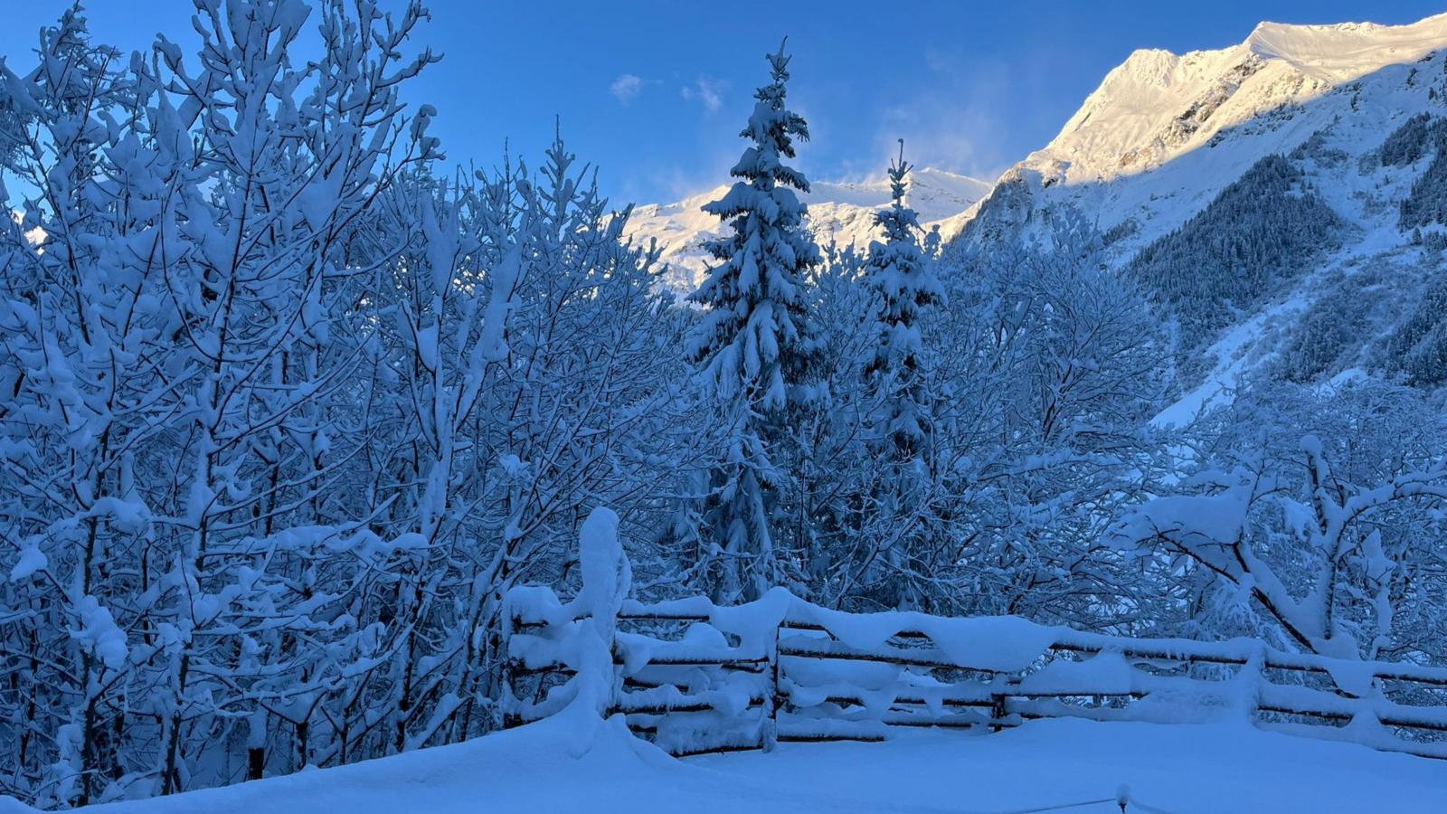 Barney M-Gebied winter 5km