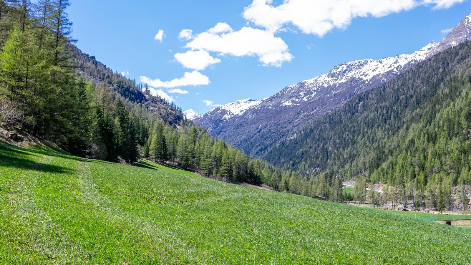 Gletschertraum-Areas summer 1km