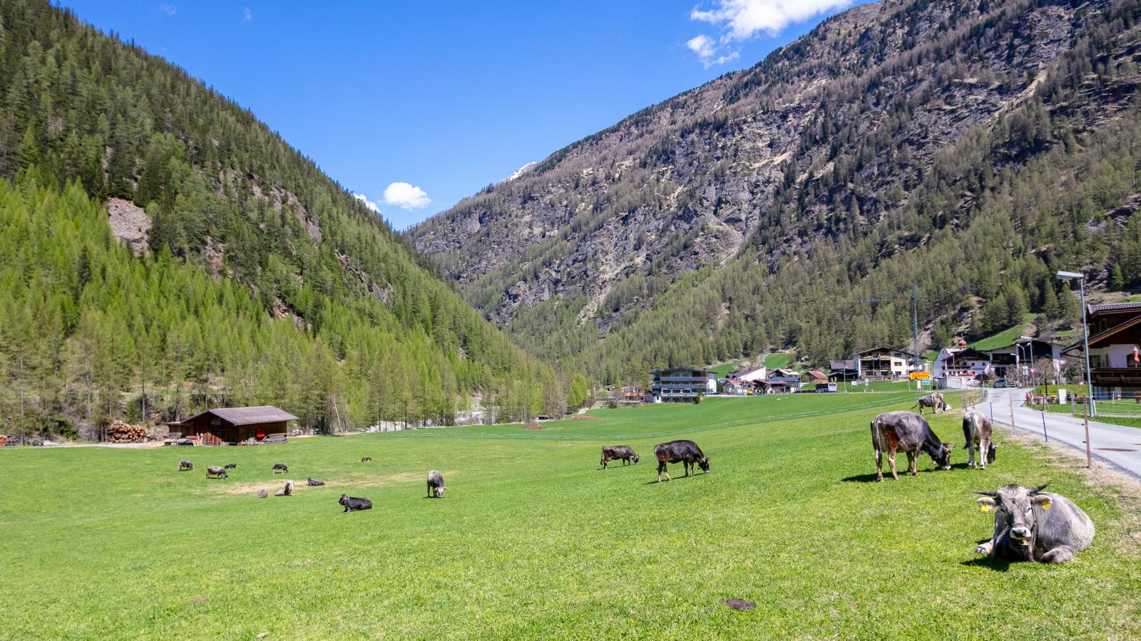 Gletschertraum-Areas summer 1km
