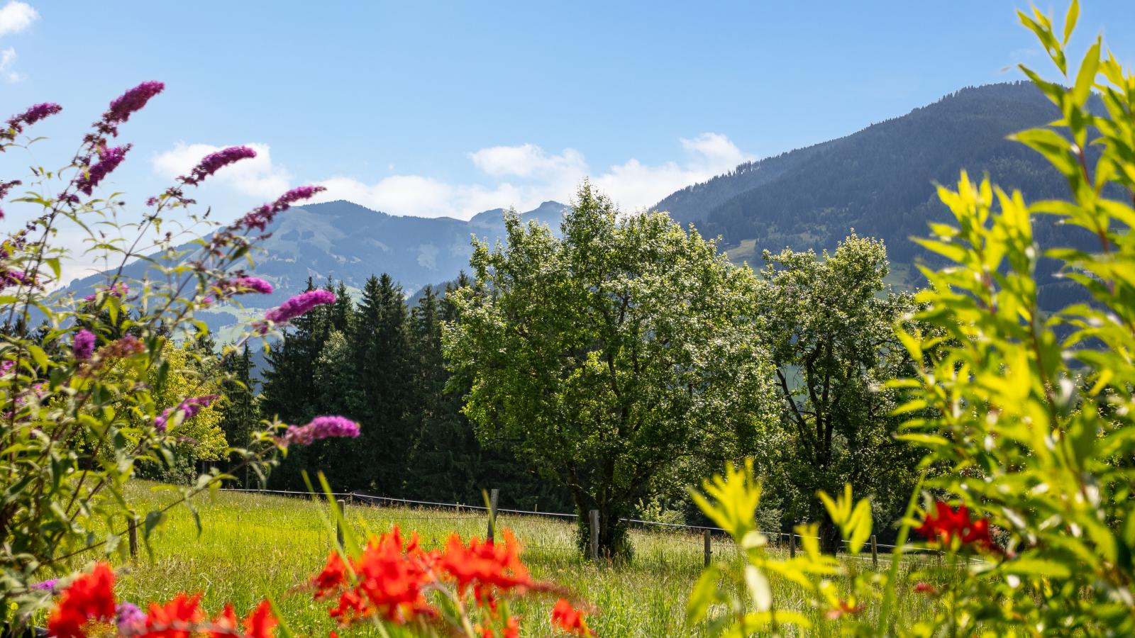 Weberhäusl am Penningberg-Tuinen zomer