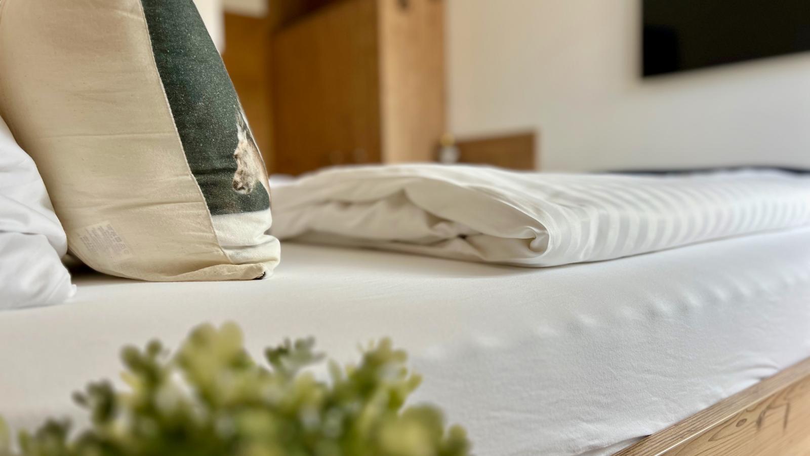 Grebenzen Lodge Edelweiss-Ambiente