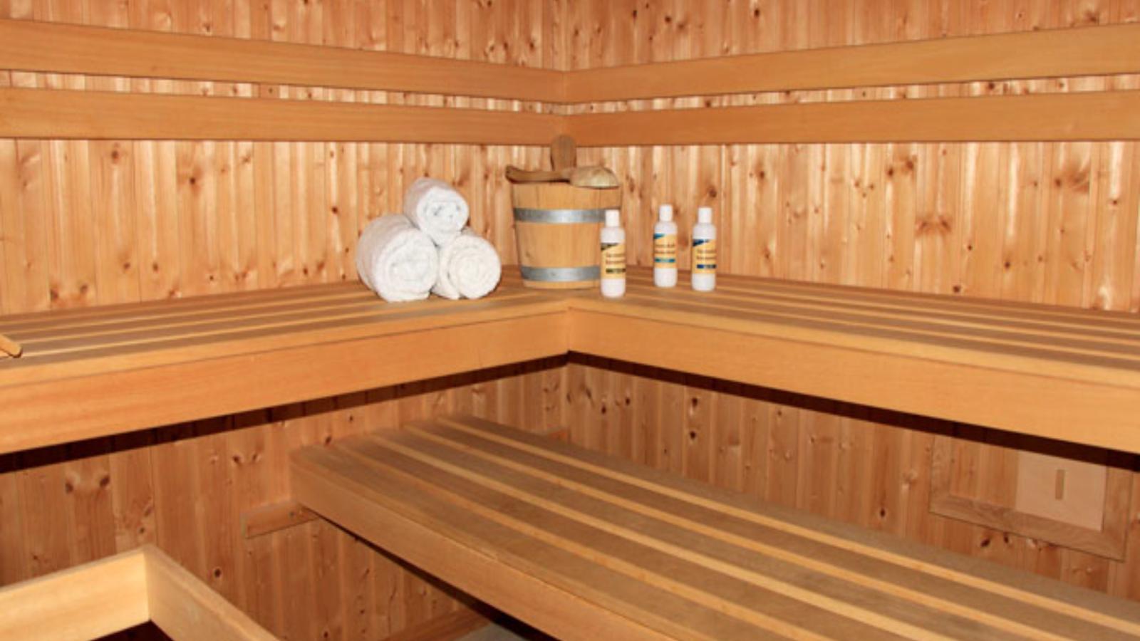 Nordlicht - Ausblick-Sauna