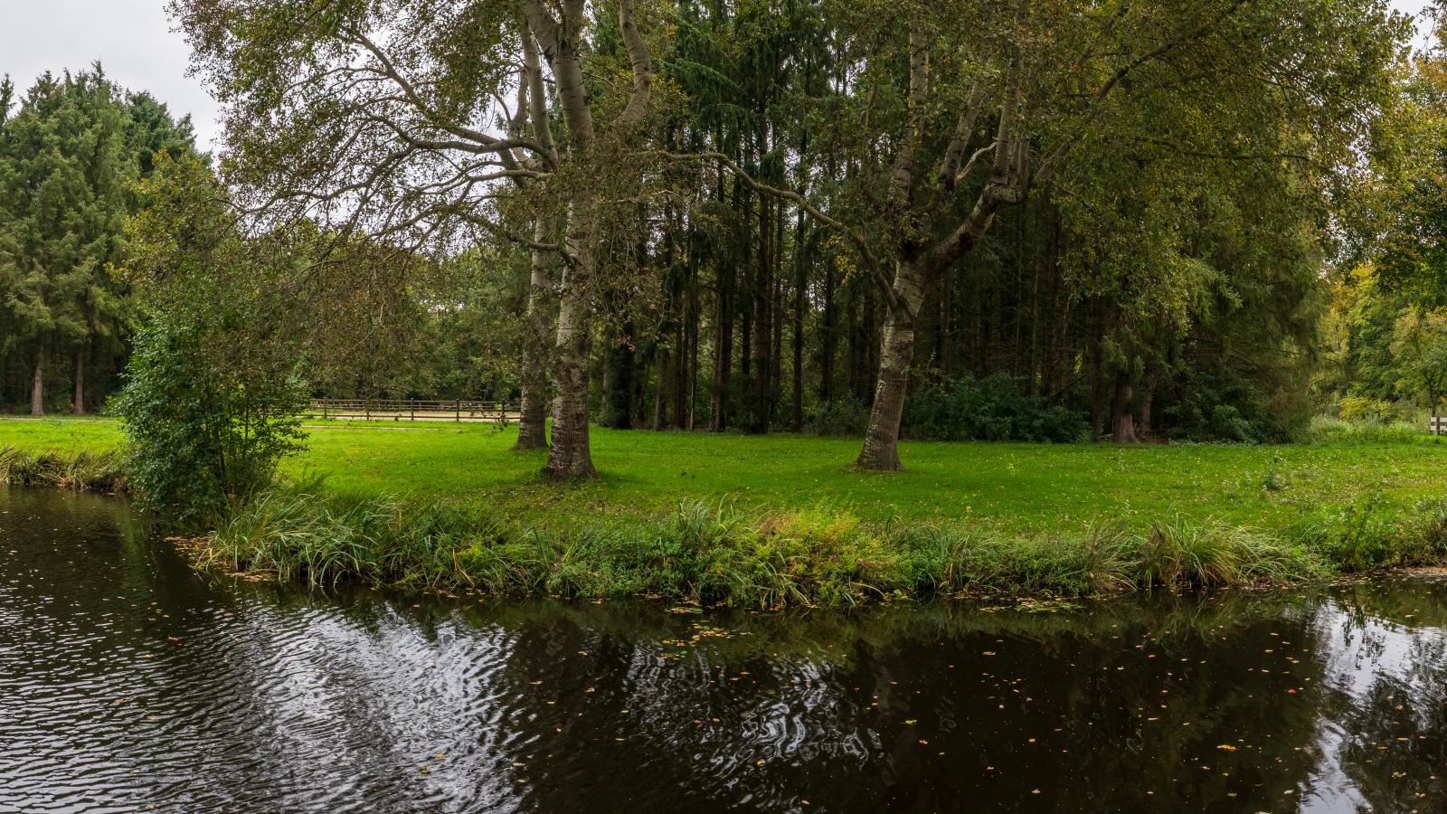 Rutershoeske-Gebieden zomer 1km