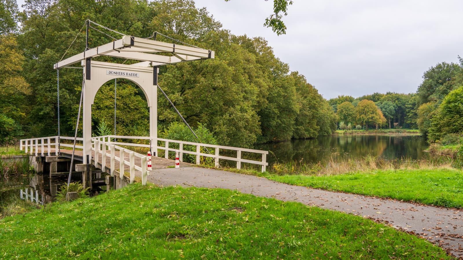 Rutershoeske-Gebieden zomer 1km