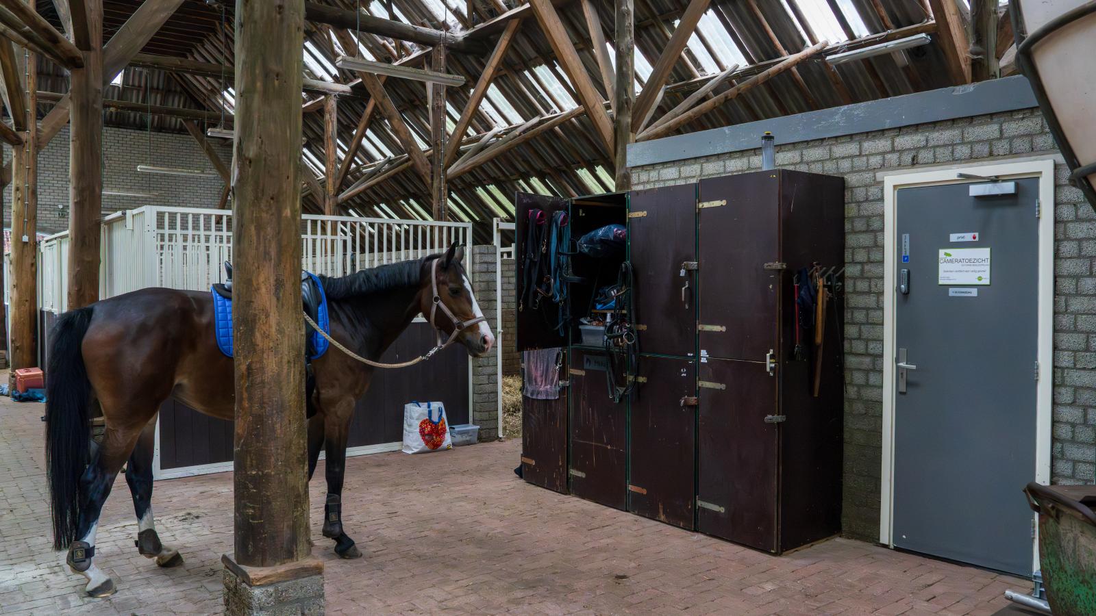 Rutershoeske-Faciliteiten