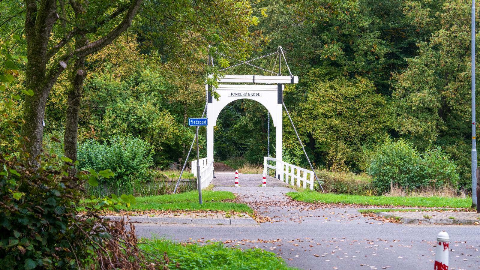 Rutershoeske-Gebieden zomer 1km
