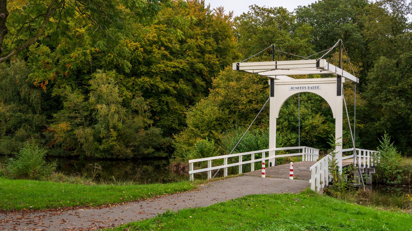 Rutershoeske-Gebieden zomer 1km