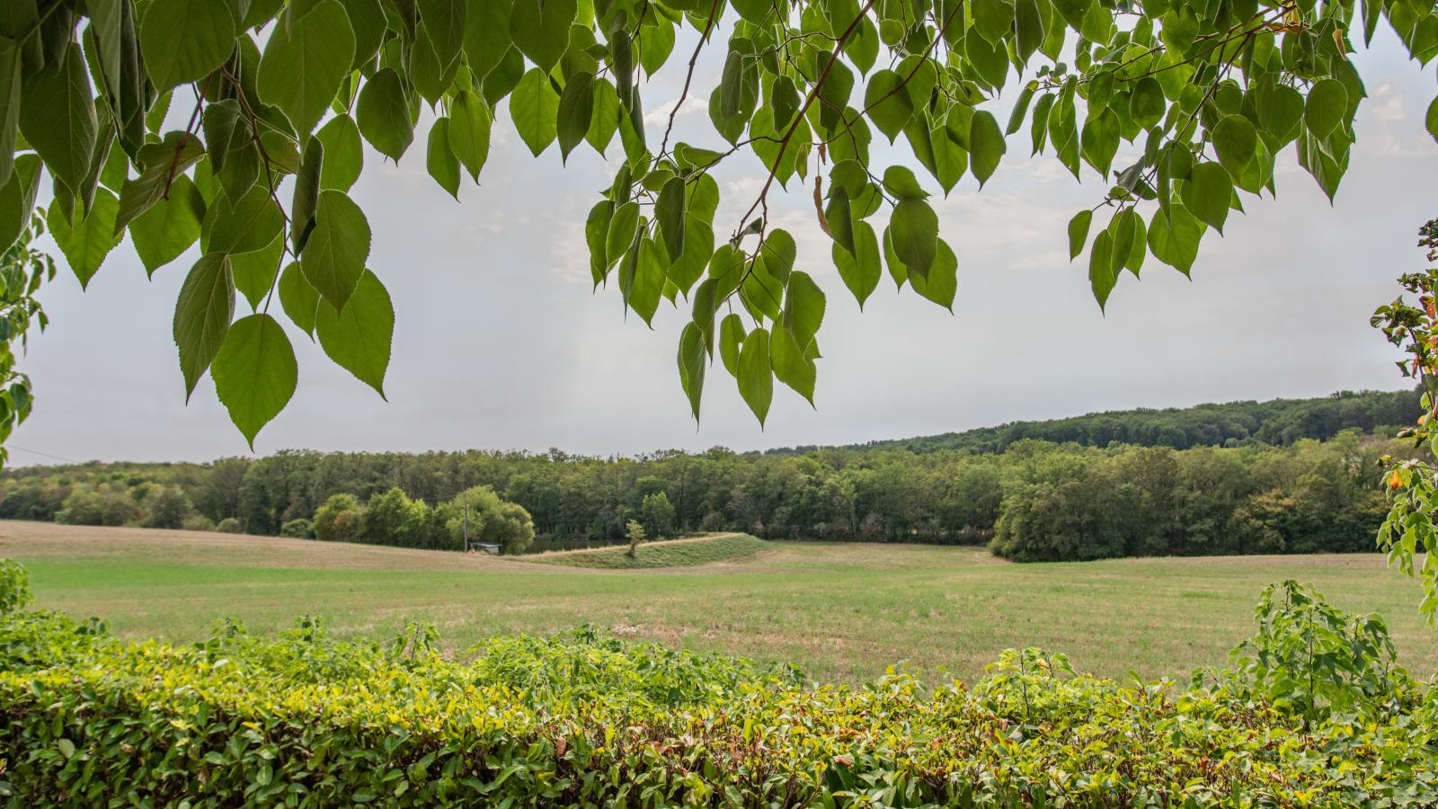 Tournesol-View in summer