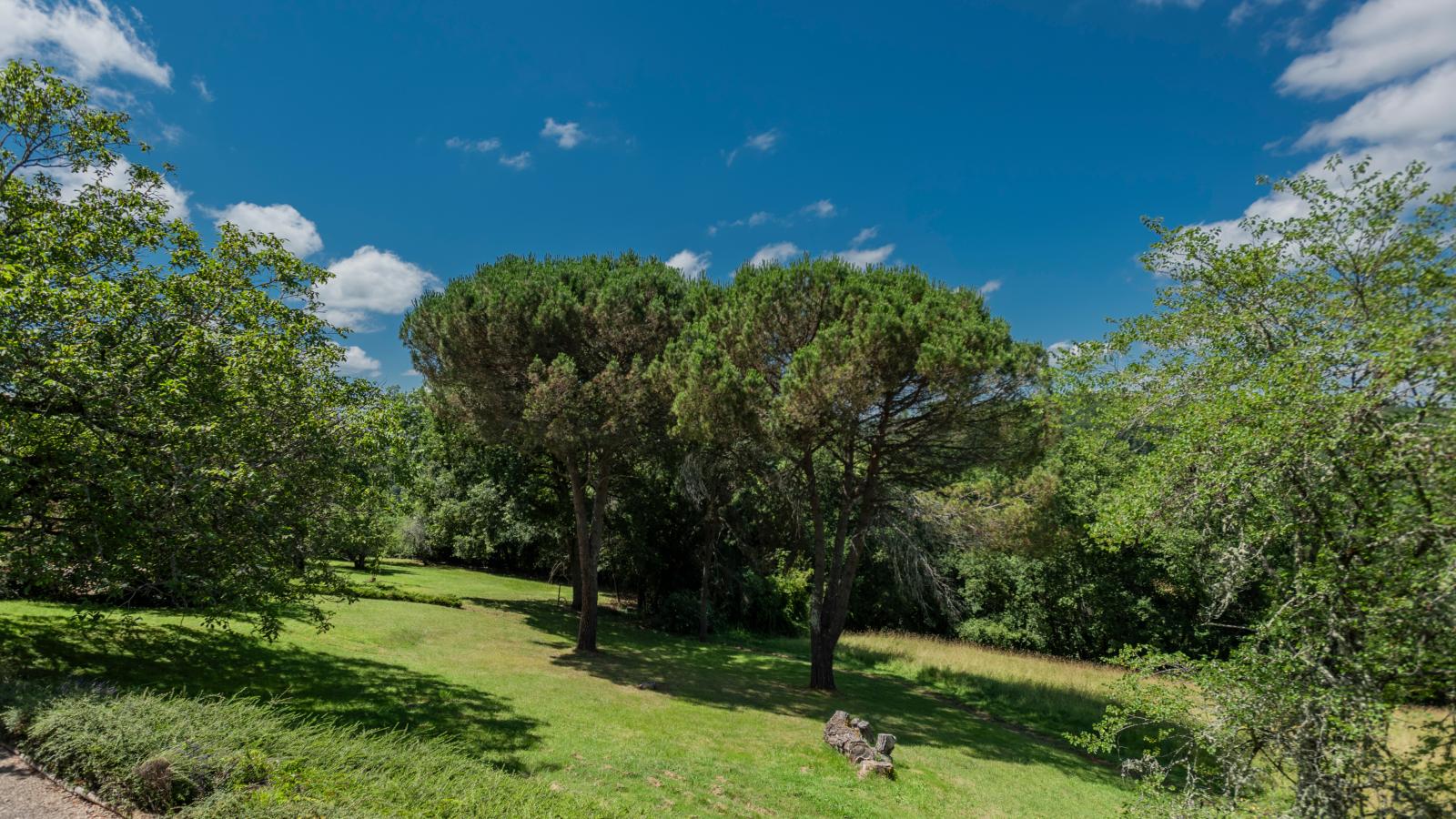 Vigne Grande - Aussicht Sommer