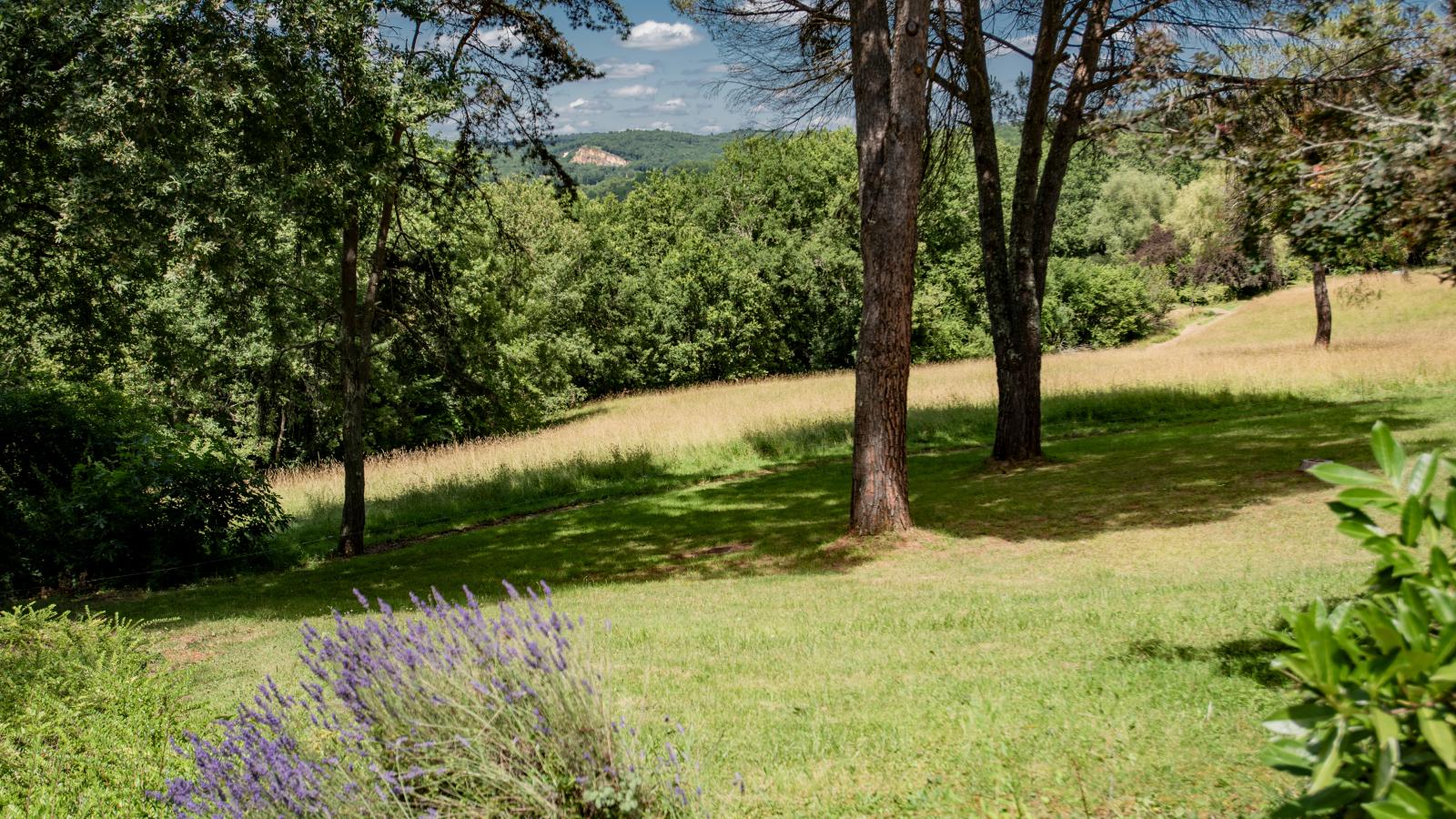 Vigne Grande - Garten Sommer