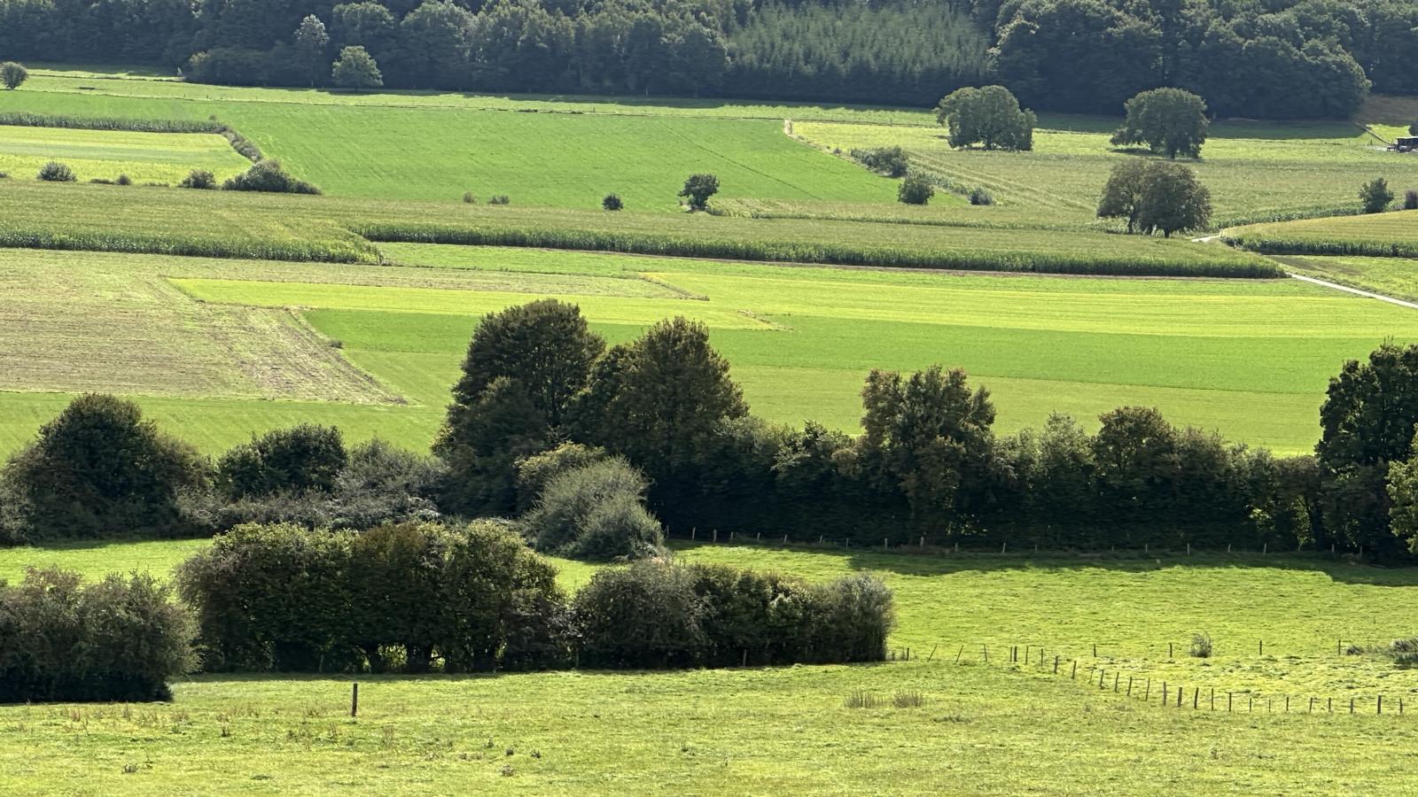 Loheré-Areas within 20km in summer