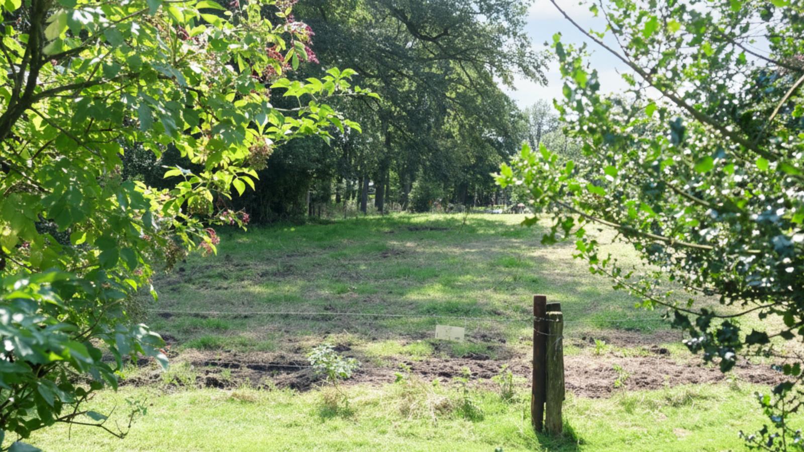 Wellnesshuisje Kalheupink-Gebiete Sommer 1 km