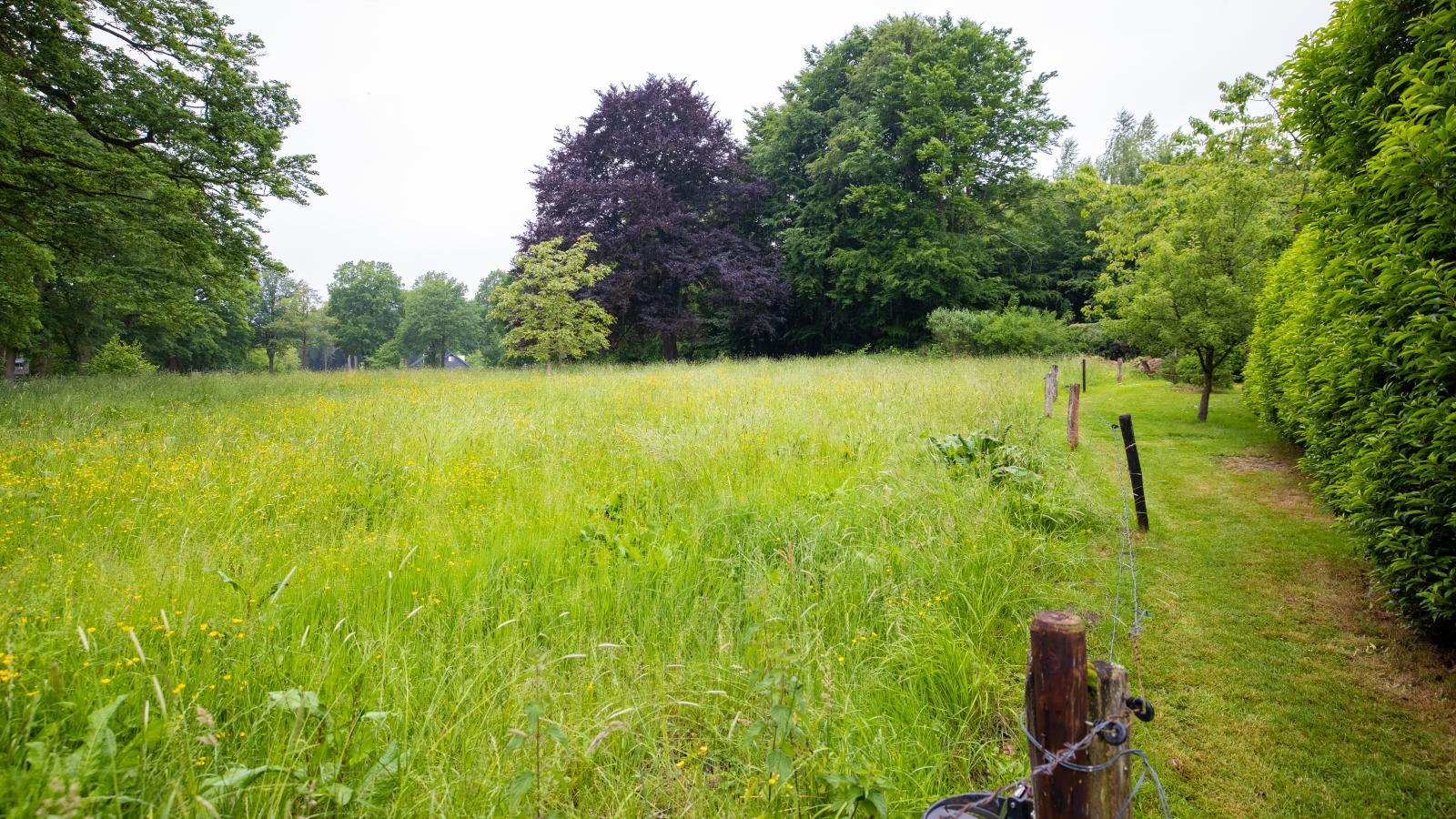 Wellnesshuisje Kalheupink-Tuinen zomer