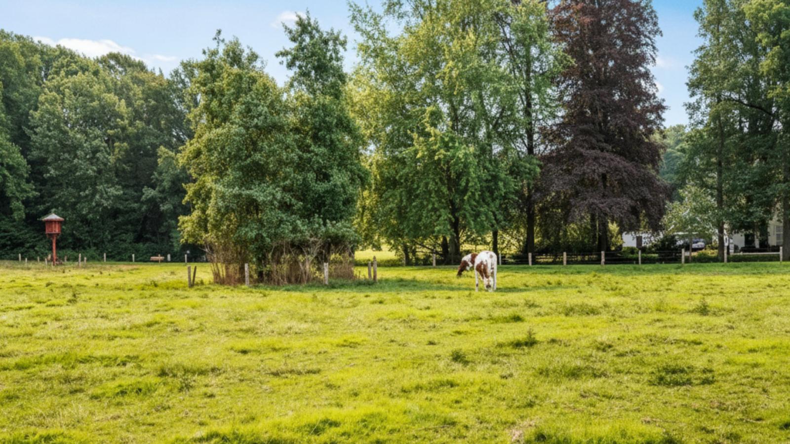 Wellnesshuisje Kalheupink-Gebiete Sommer 1 km