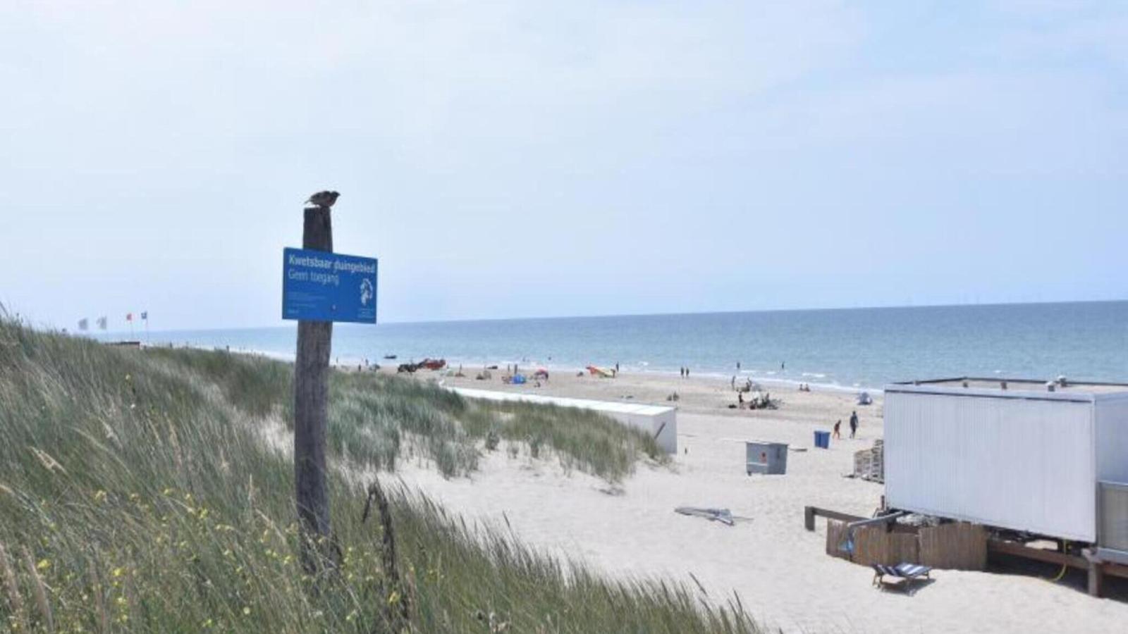 Vlinder-Gebieden zomer 5km