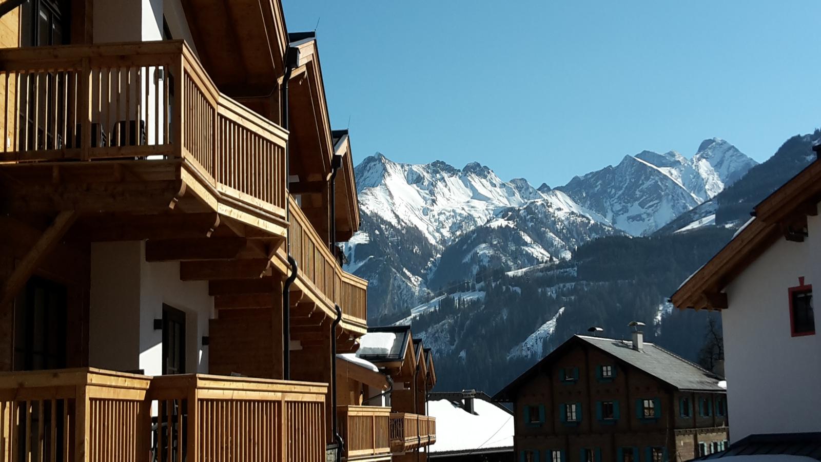 Tauern Suites Mitterwirt TOP 314-Area winter 5km