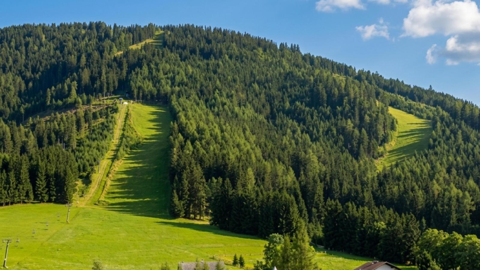 Das Edelweiss - Gebieden zomer 1km