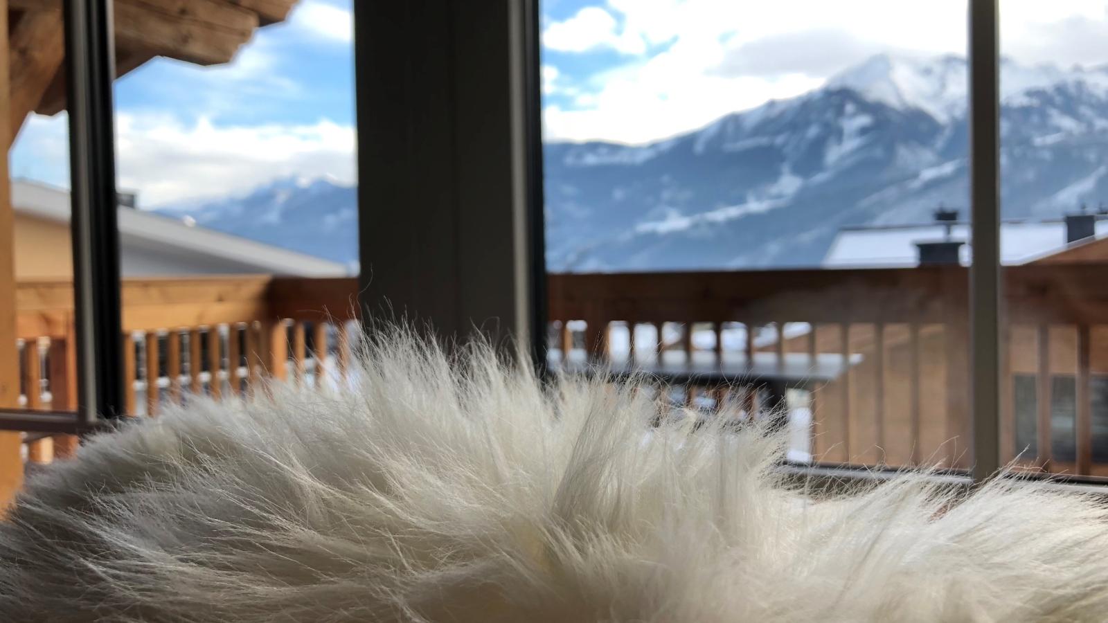 Tauern Suites Mitterwirt TOP 321-Atmosphere