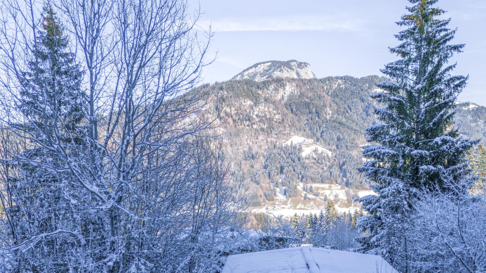 Yosi im Brixental-Gebied winter 1km