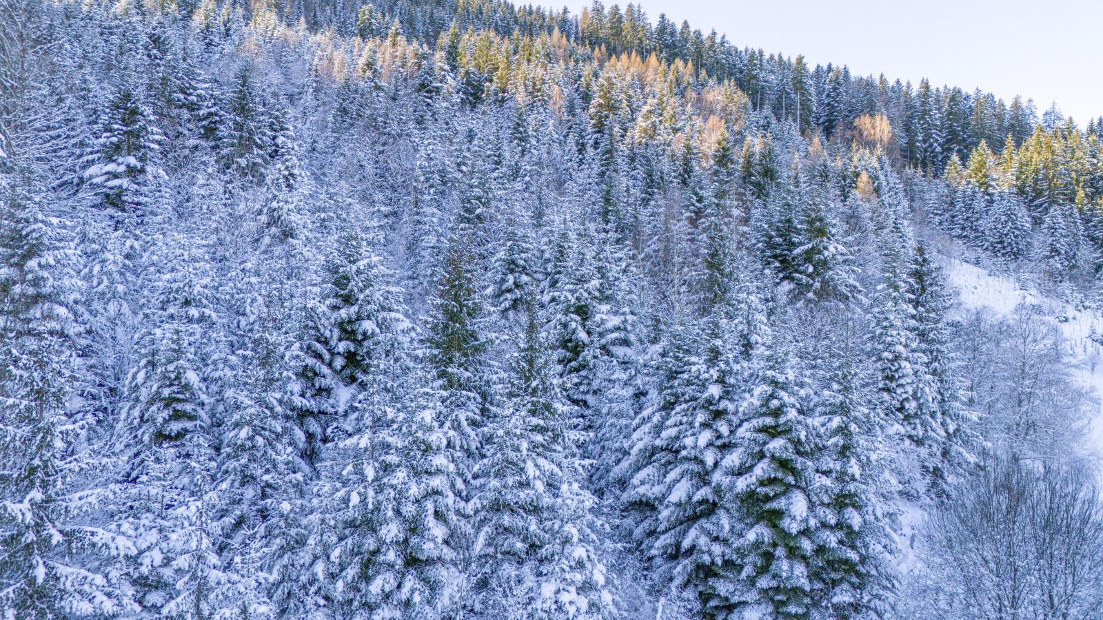 Yosi im Brixental-Gebied winter 1km