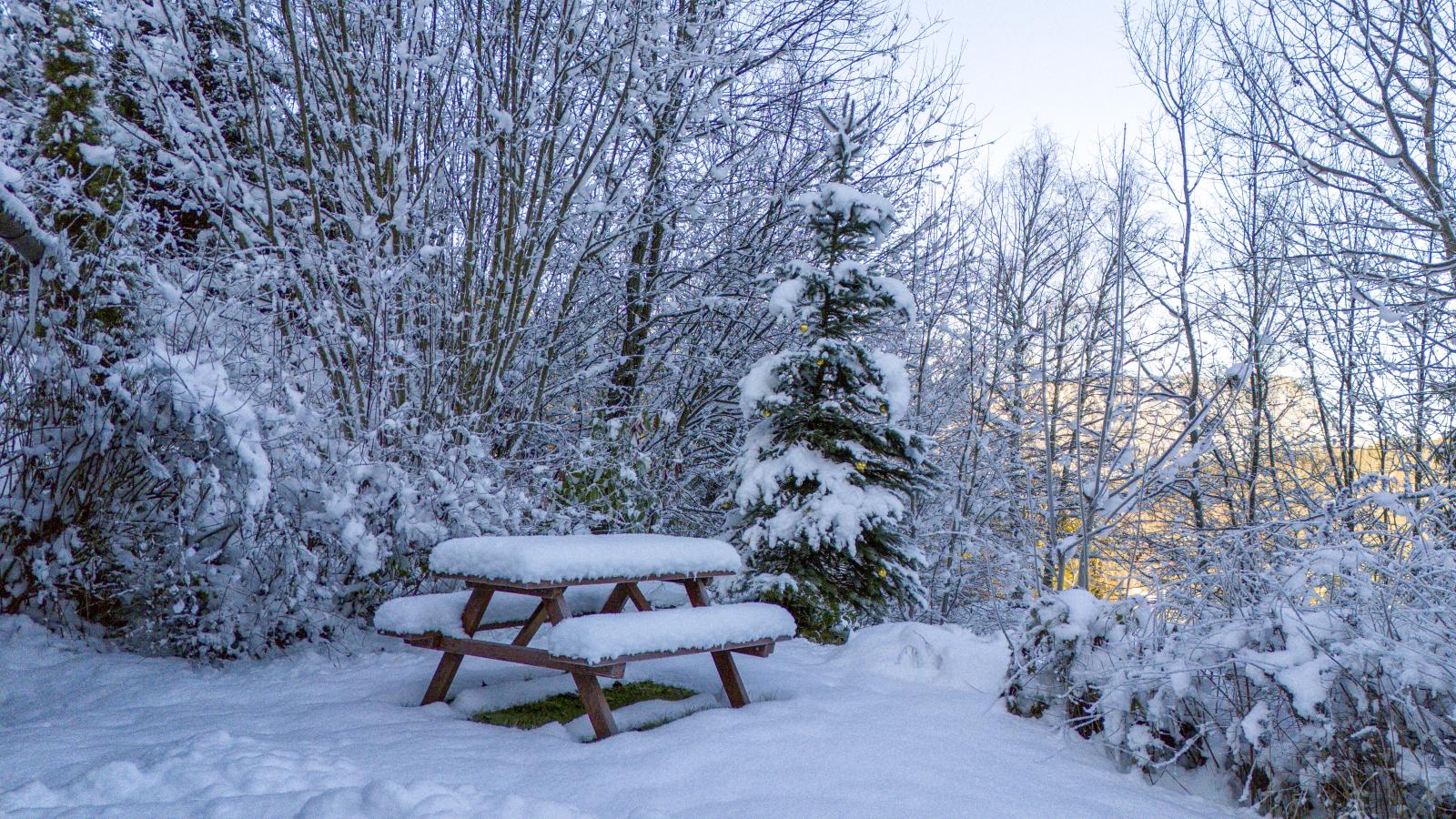 Yosi im Brixental-Tuin winter