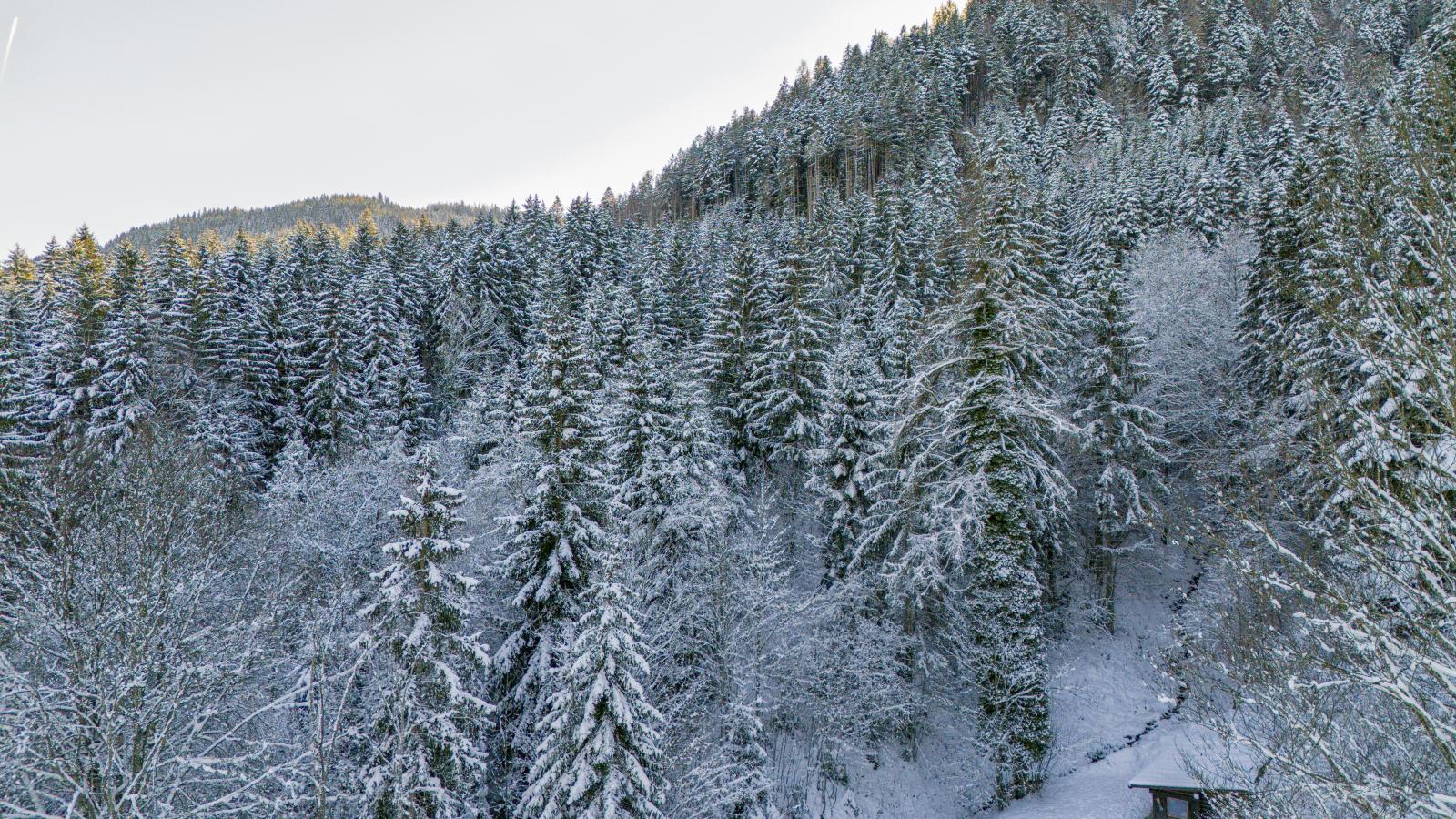 Yosi im Brixental-Gebied winter 1km