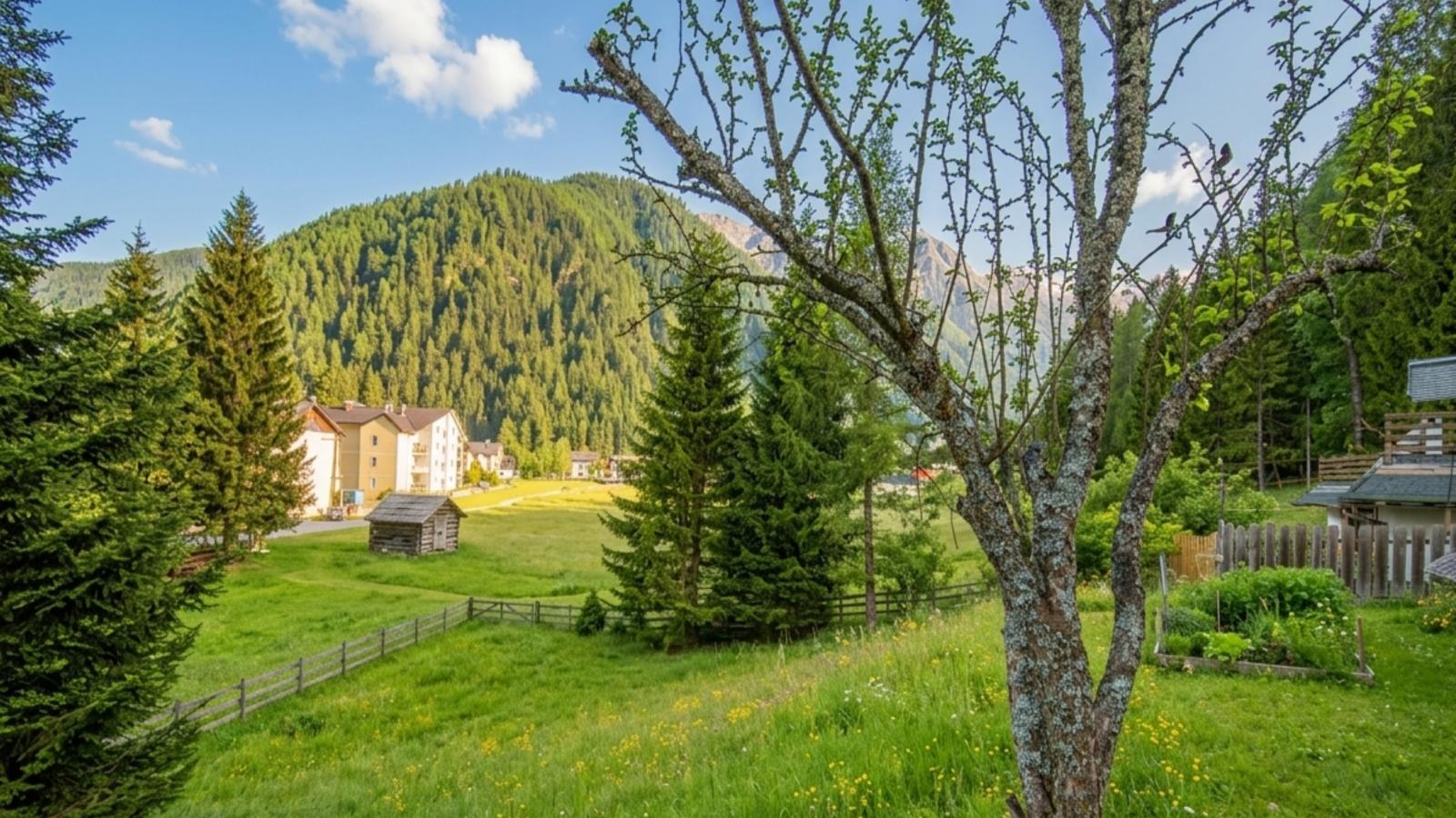 Landhaus Herz der Tauern - Jardins en été