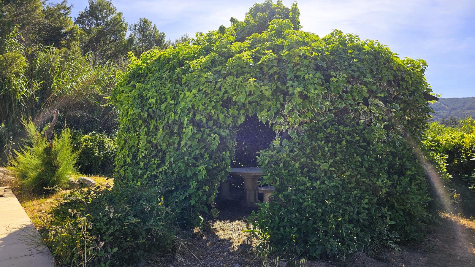 Les Hirondelles-Gardens summer