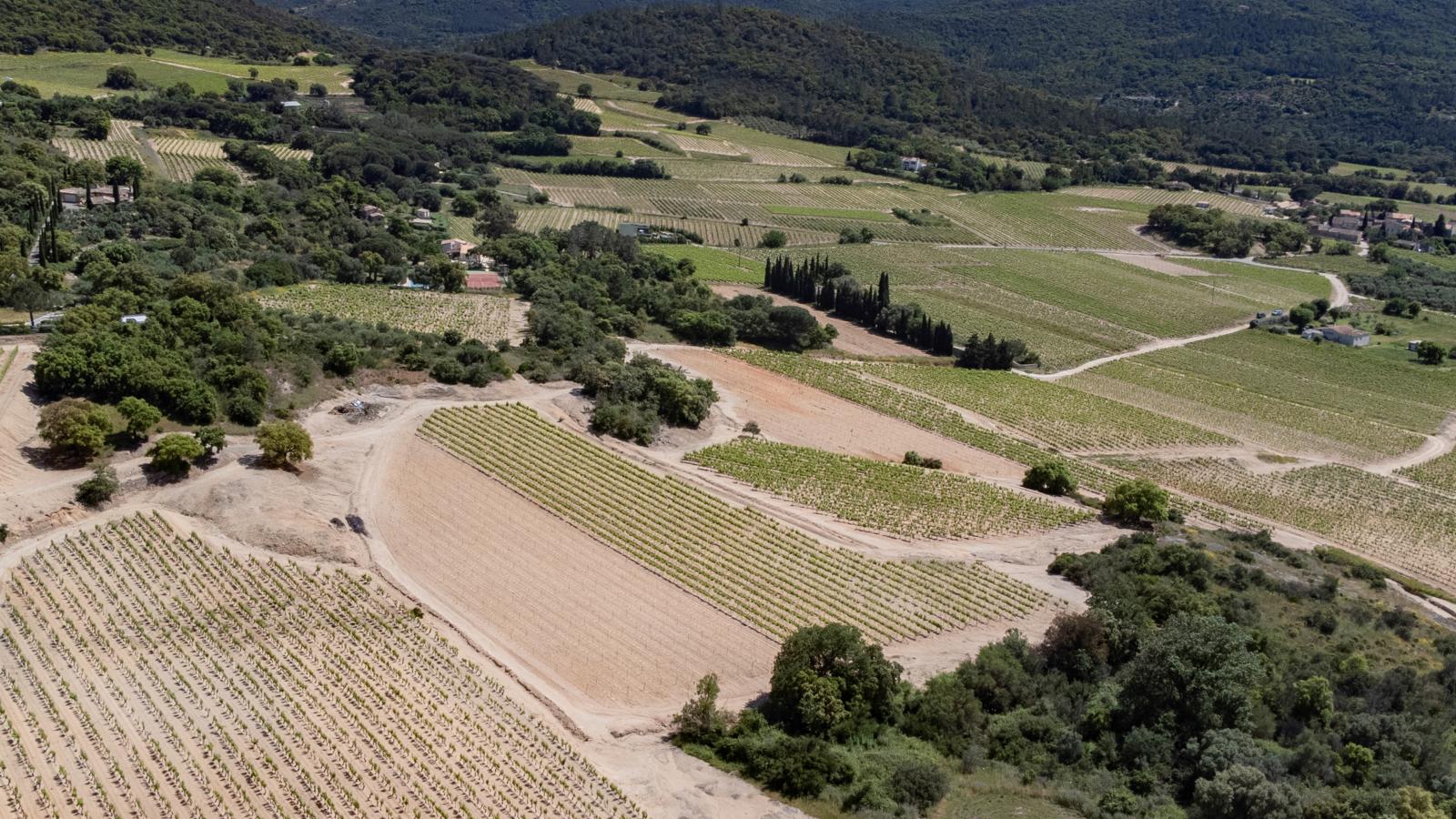 Entre les vignes-Gebieden zomer 1km