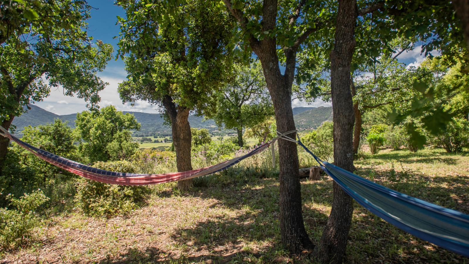 Entre les vignes-Tuinen zomer