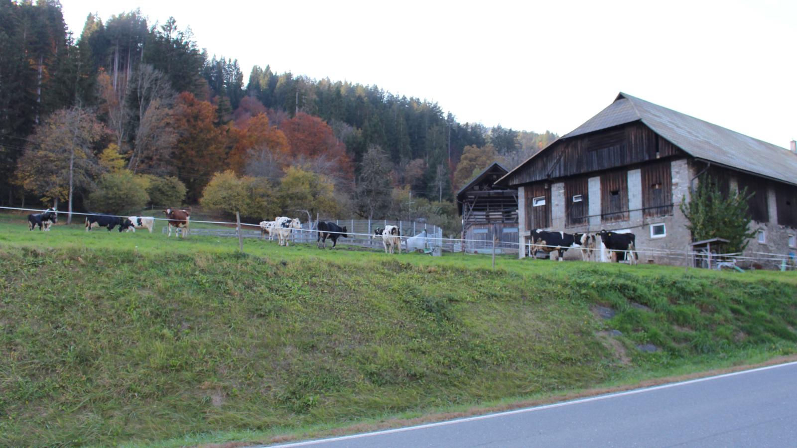 Obermöschach 5A-View summer